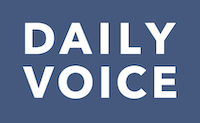 Daily voice logo
